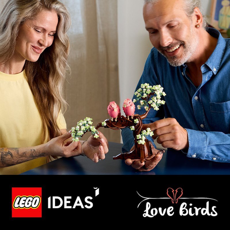 Lego Uccellini innamorati 21365