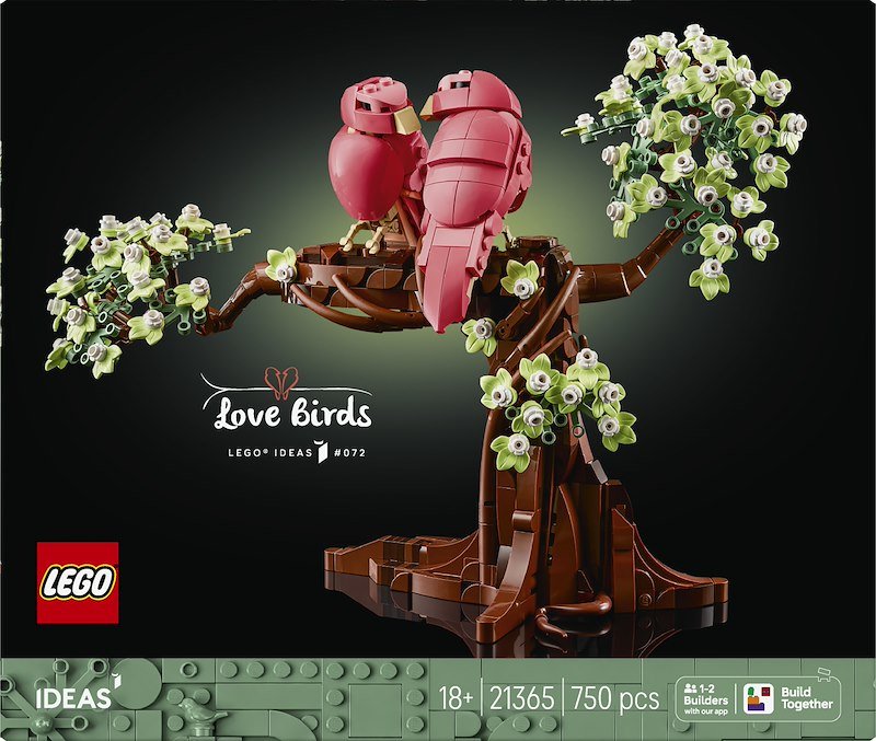 Lego Uccellini innamorati 21365