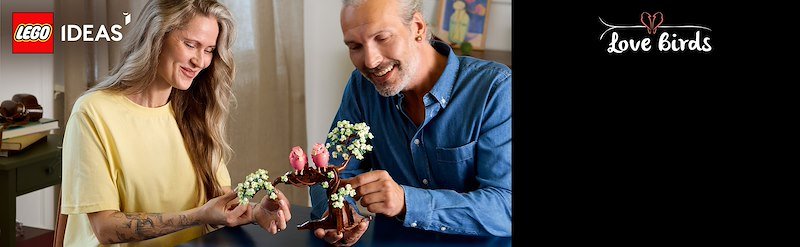 Lego Uccellini innamorati 21365