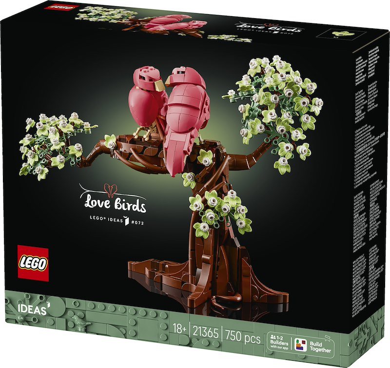 Lego Uccellini innamorati 21365