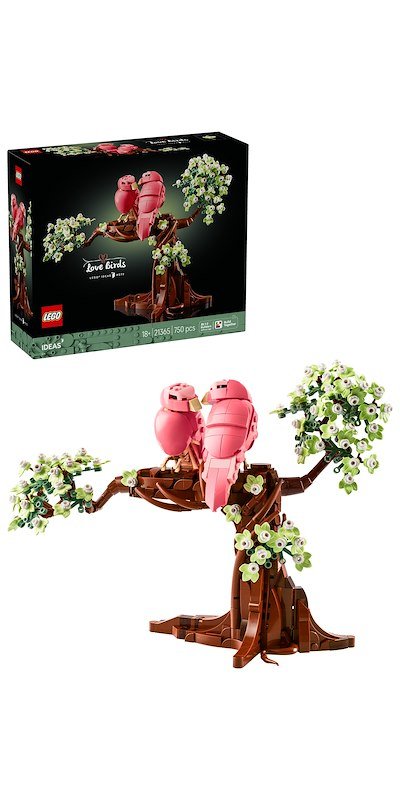 Lego Uccellini innamorati 21365