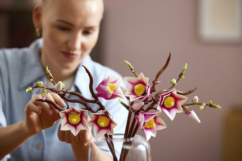 Lego® Rametti di Magnolia 11510