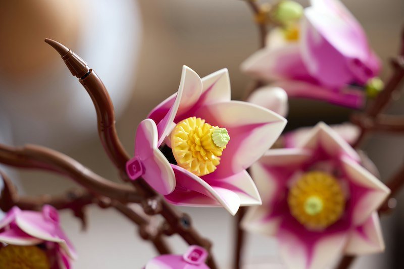 Lego® Rametti di Magnolia 11510