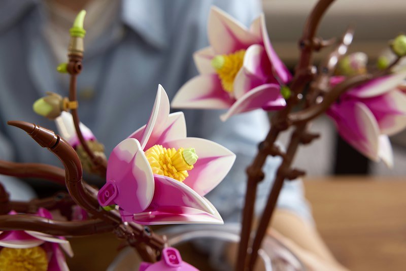 Lego® Rametti di Magnolia 11510