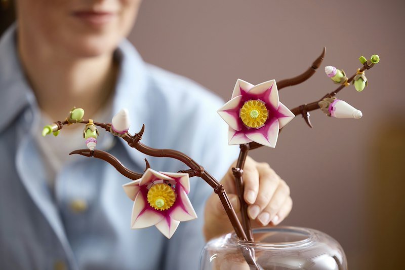 Lego® Rametti di Magnolia 11510