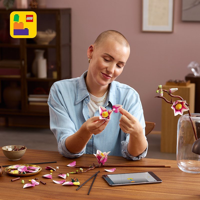 Lego® Rametti di Magnolia 11510