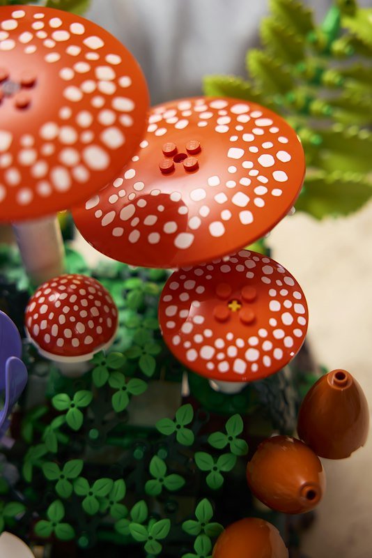 Lego® Botanicals Funghi del bosco 11505