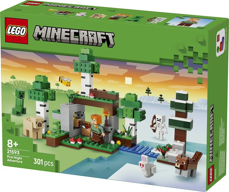 Lego® Minecraft Avventura della prima notte 21593