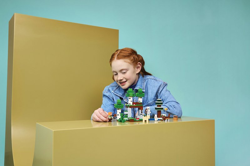 Lego® Minecraft Avventura della prima notte 21593
