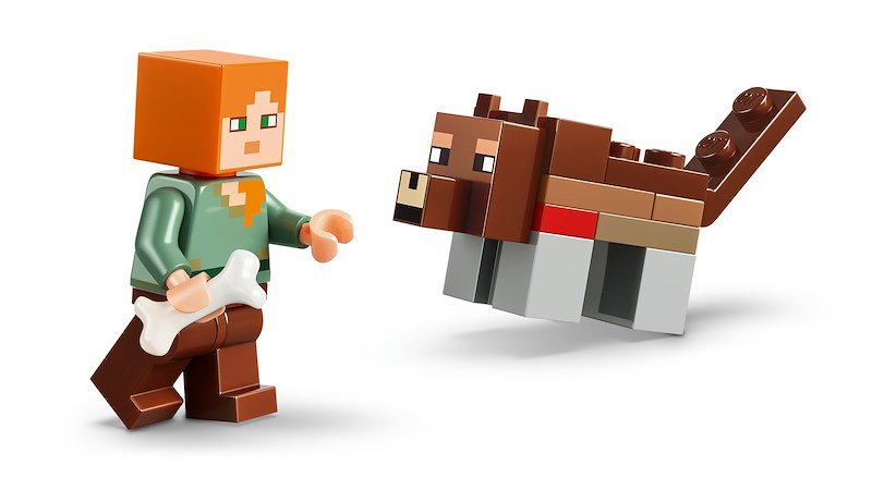 Lego® Minecraft Avventura della prima notte 21593