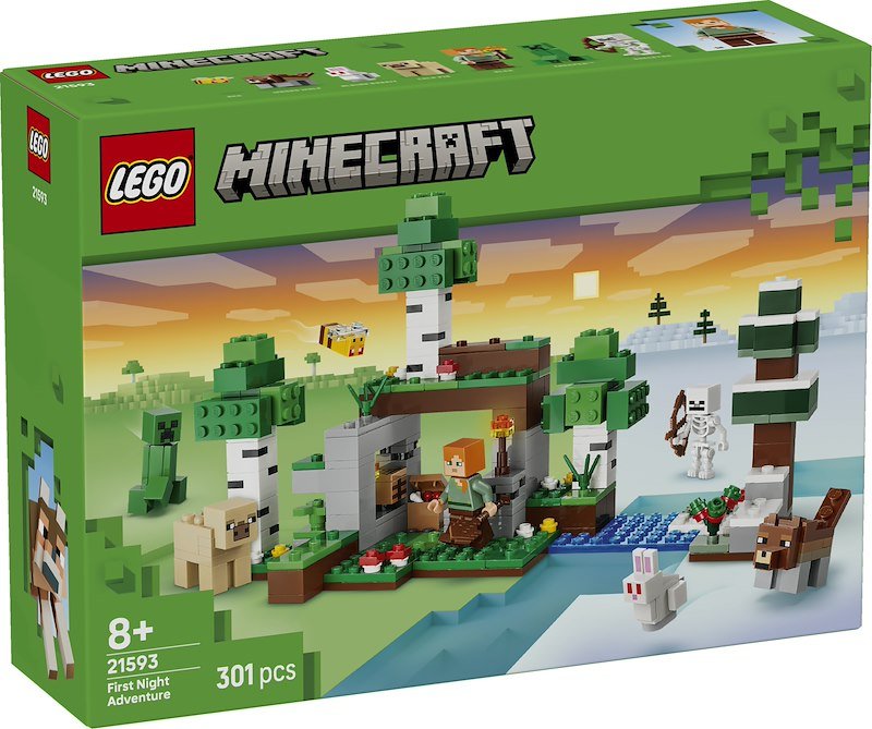 Lego® Minecraft Avventura della prima notte 21593