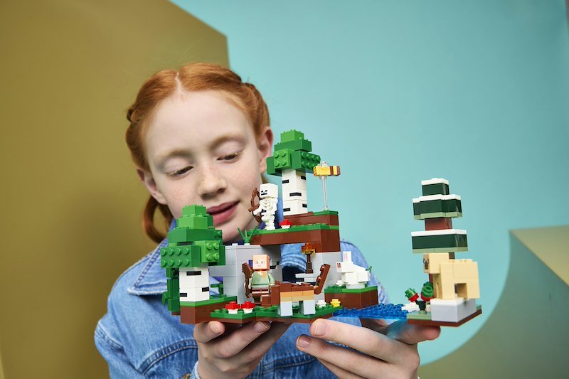 Lego® Minecraft Avventura della prima notte 21593