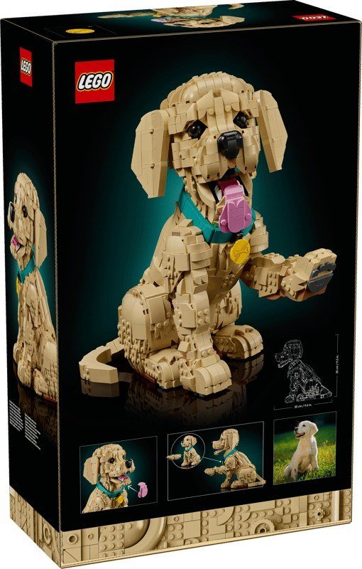 Lego® Icons Cucciolo di Golden Retriever 11384