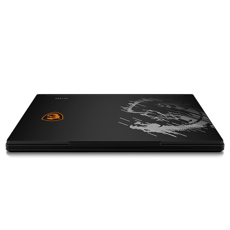 Msi Notebook Gaming Raider A16 Hx B8wi-003it 32GB/1TB 16" Nero