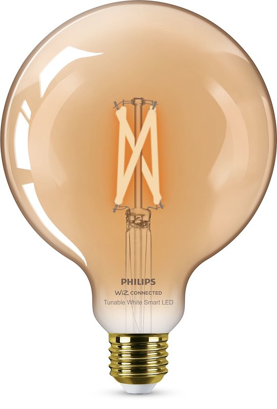Philips Signify - Globo WFB 50W G125 E27 Wireless dimmerabile - 37212200