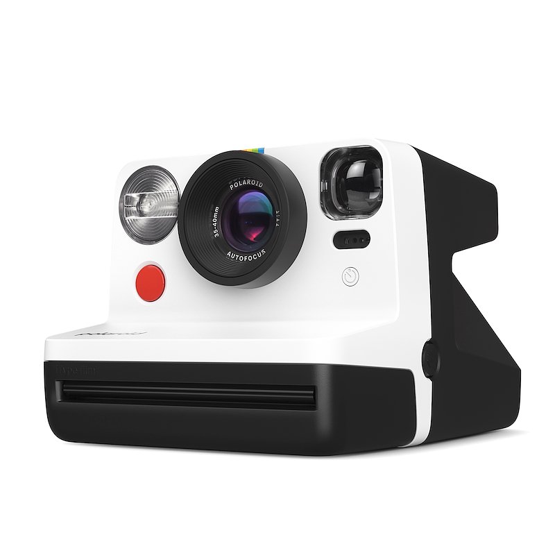 Polaroid Now Panda