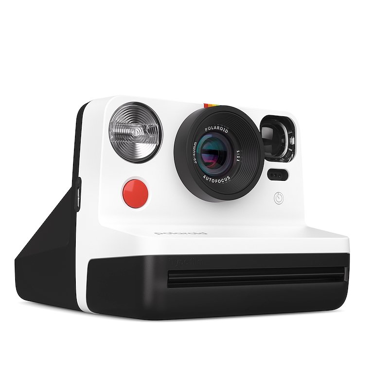 Polaroid Now Panda