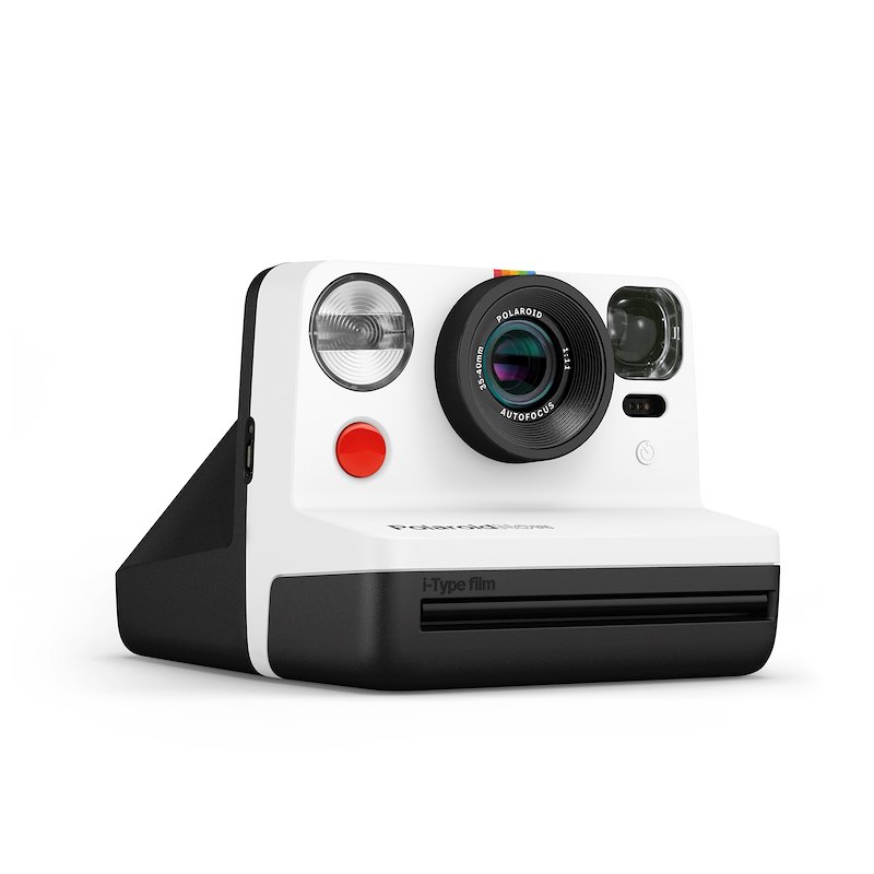 Polaroid Now Panda