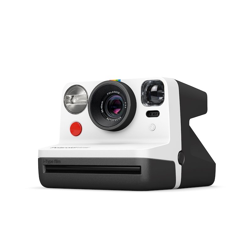 Polaroid Now Panda