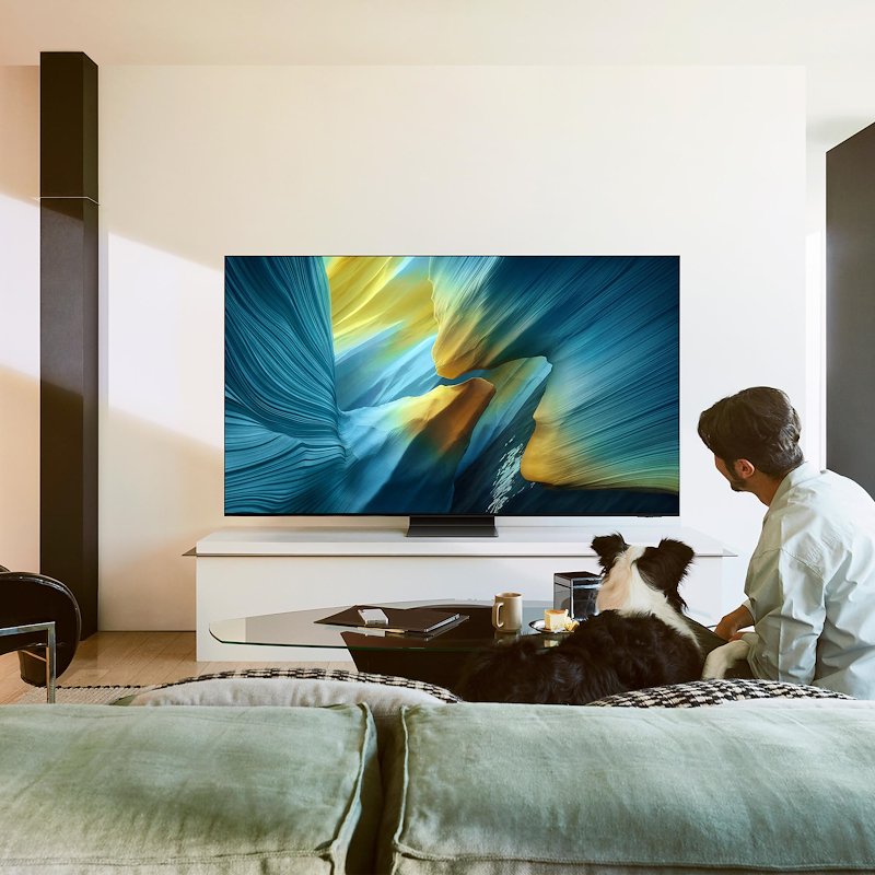 Samsung TV OLED 65" Qe65s95fatxzt Graphite Black