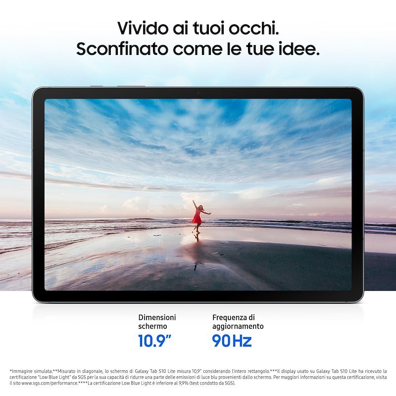 Samsung Tablet Galaxy Tab S10 Lite 8/ 256GB WIFI Silver