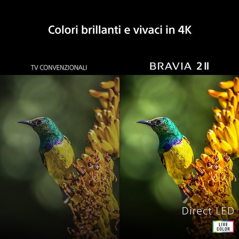 Sony TV LED 55" K55s25m2pb.cei