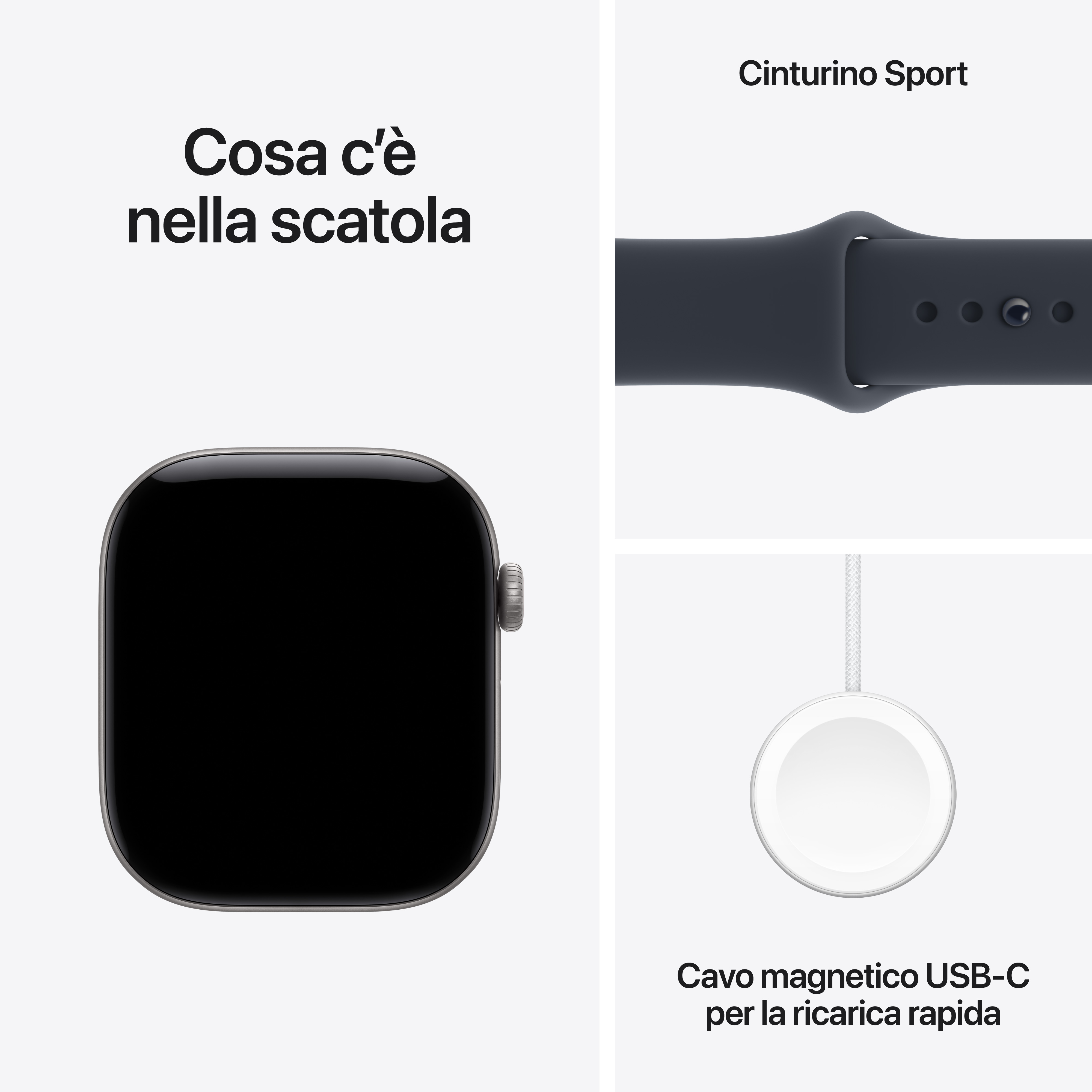 Apple Watch Series 12 GPS+Cellular 42MM S/M Cassa Alluminio Grigio siderale e Sport Band Blu