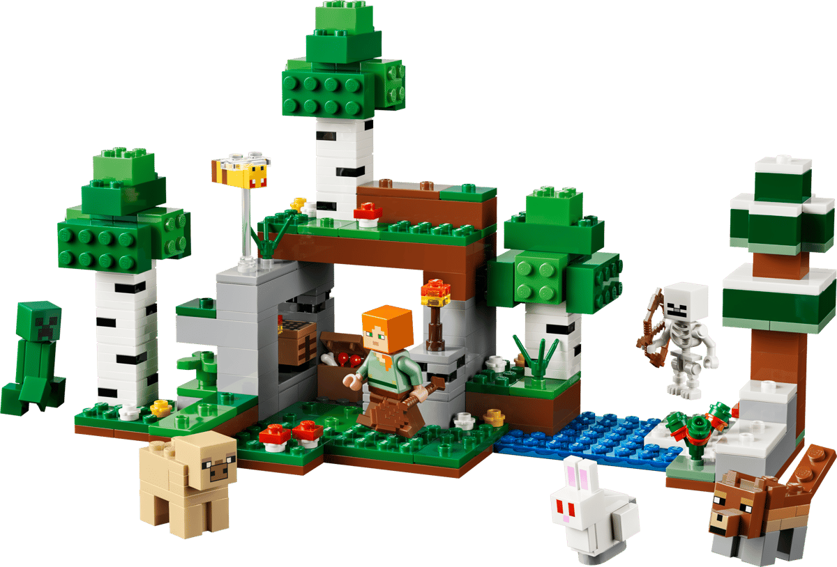 Lego® Minecraft Avventura della prima notte 21593
