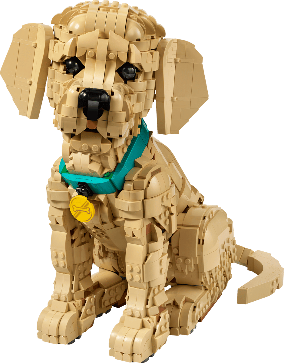 Lego® Icons Cucciolo di Golden Retriever 11384