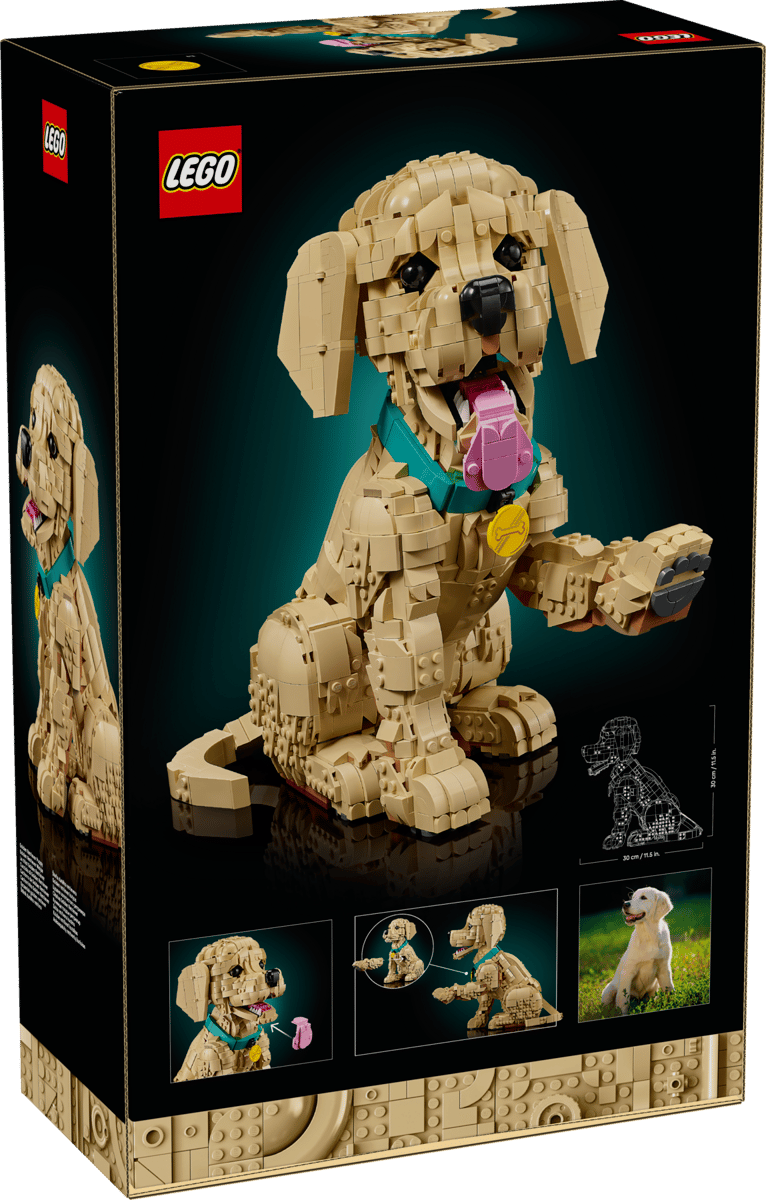 Lego® Icons Cucciolo di Golden Retriever 11384