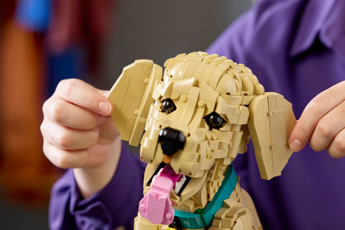 Lego® Icons Cucciolo di Golden Retriever 11384